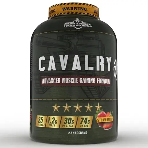 Cavalry Advance Weight Gainer 2.5Kg